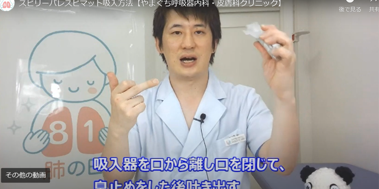 レスピドンのリーフレット