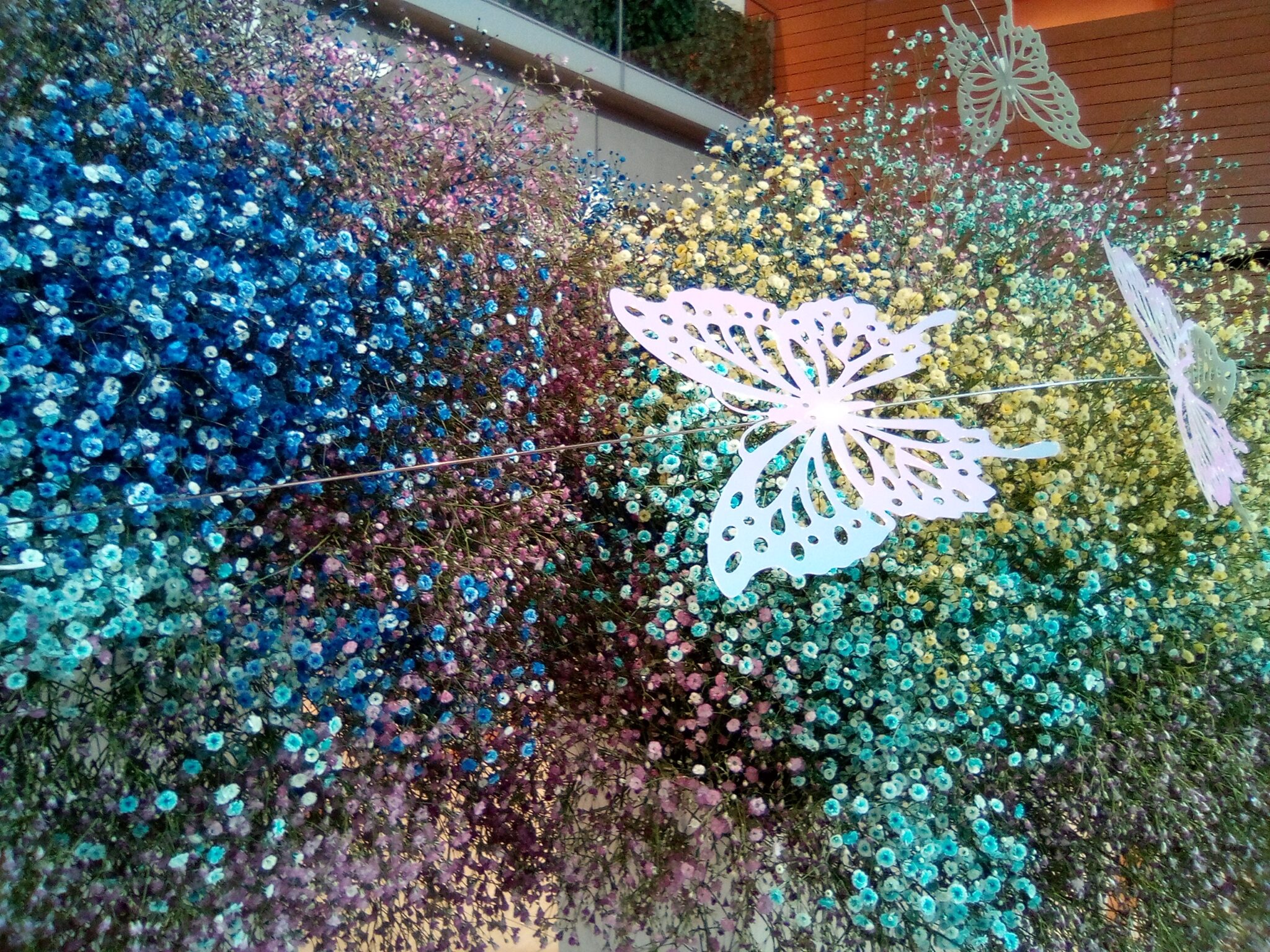 新国立劇場で魅せられた、デヴィッド・ビントレーの世界 希望が丘|やまぐち呼吸器内科・皮膚科クリニック