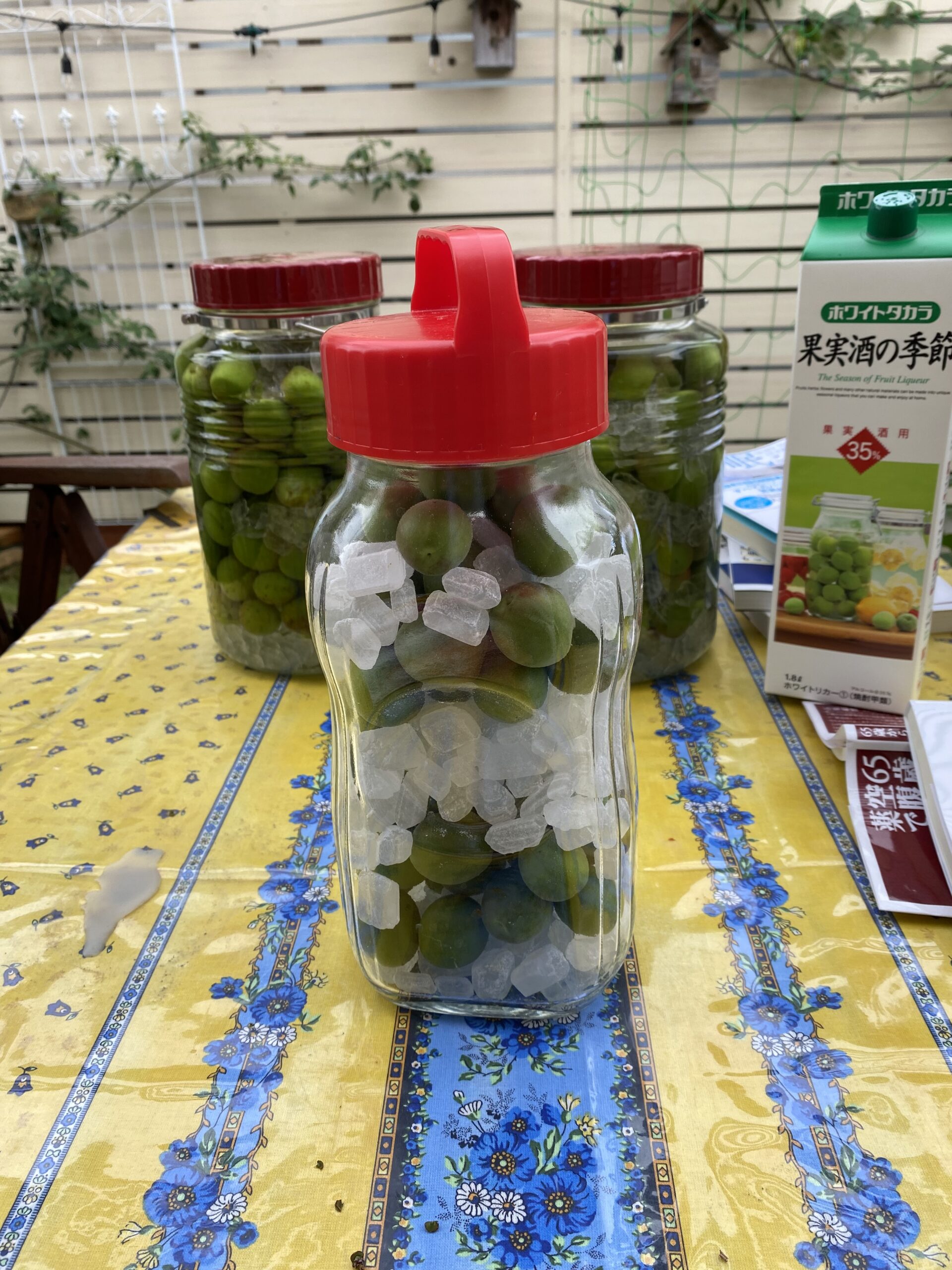 梅子　確認用 🌿梅しごとの季節がやってきました✨～梅酒と梅シロップ、どちらも「命