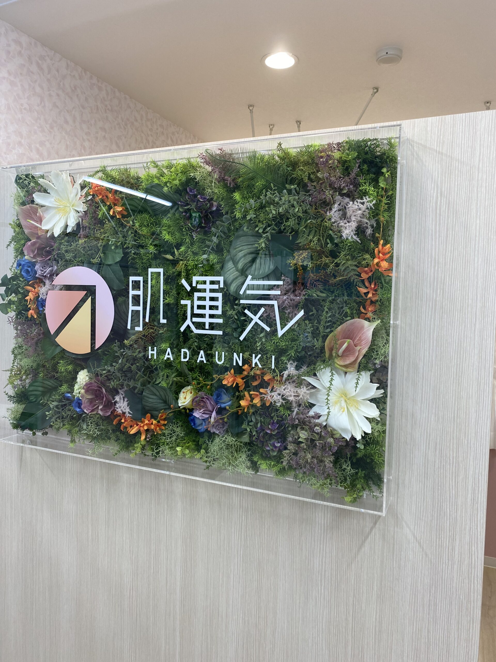 肌運気のフラワーサインと新しい空間