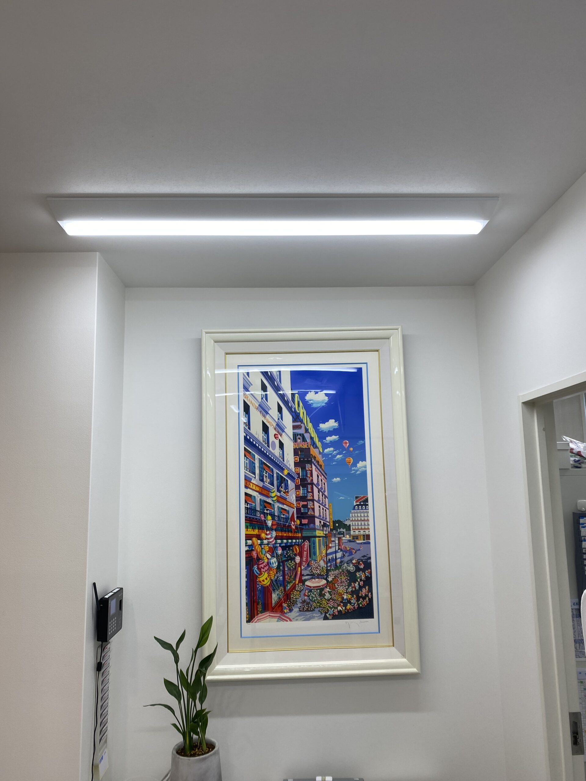 肌運気の入口と院内アート