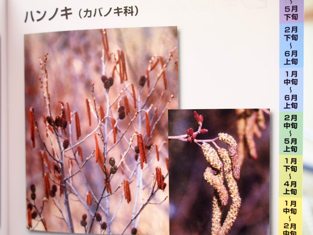ハンノキ花粉によるアレルギー － ぜんそく 喘息 花粉症 アレルギー性鼻炎 口腔アレルギー症候群（OAS) | 希望が丘｜やまぐち呼吸器内科 ...