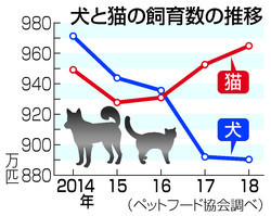 あなたは犬派か猫派？  希望が丘｜やまぐち呼吸器内科・皮膚科クリニック