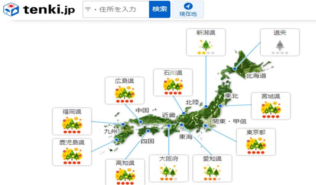 風邪か花粉症か分からない 頭痛 咳 痰 のどが痛い 希望が丘 やまぐち呼吸器内科 皮膚科クリニック